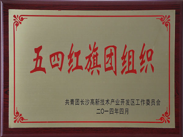 五四紅旗團組織